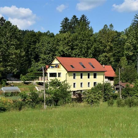 Apartmaji Maln Dolenjske Toplice Dış mekan fotoğraf